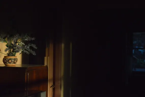 Trada Kasino Sokongan